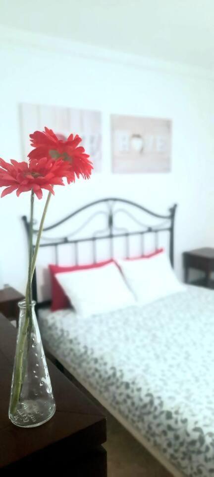 Famara Surf Wifi 2 Apartment Bagian luar foto